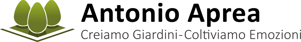 Progettazione giardini