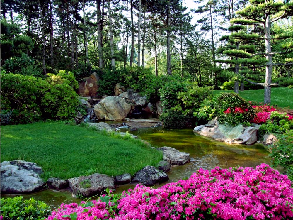 Progettazione Giardini